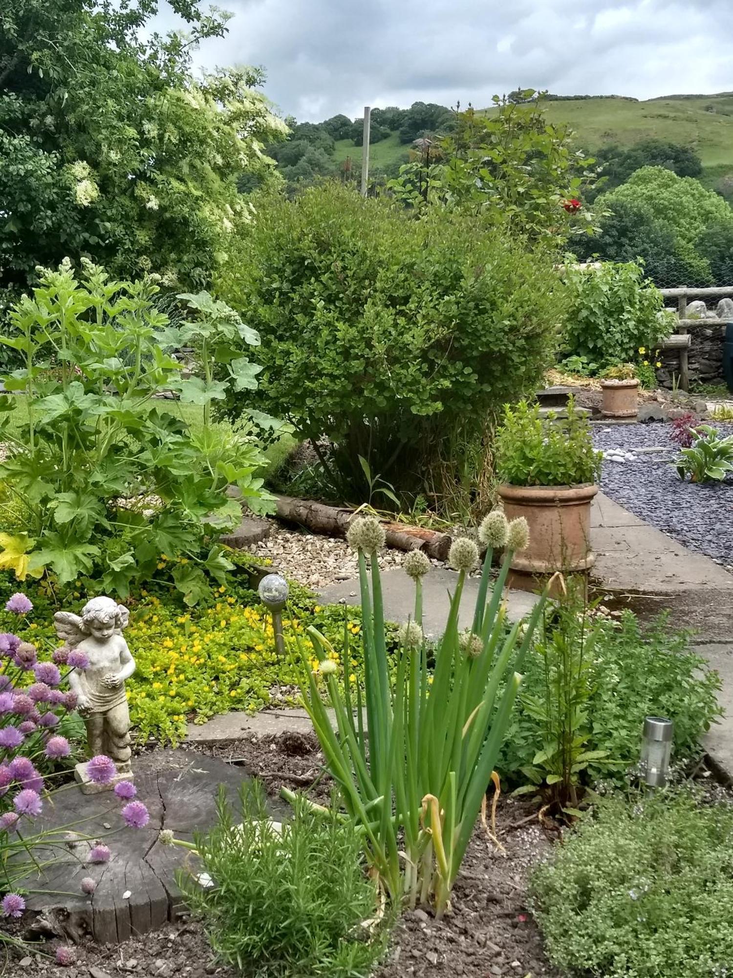 Bed and Breakfast Pentre Isaf Conwy Exterior foto